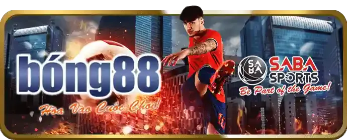 Các sự kiện đặc biệt